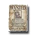 Irish Wolfhound Wanted Fridge Magnet