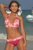 Sunset Banded Bikini