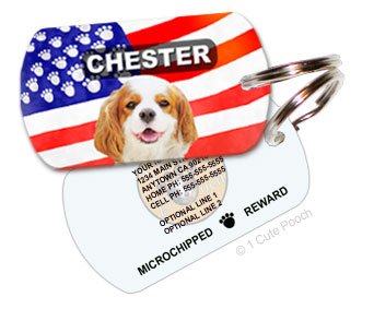 Patriotic Dog Personalized Pet ID Tag