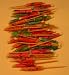 Parasol Umbrella Drink Picks (144 count)