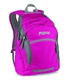 JanSport Wasabi Core Series Backpack, New Hot Pink/New Storm Grey