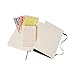 Moleskine 2017 Daily Planner