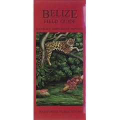 Belize Field Guide: Mammals, Amphibians and Reptiles (Belize Field Guides)