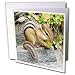 Wild animals - Chipmunk - Greeting Cards-12 Greeting Cards with envelopes