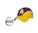 Arizona State Avalanche