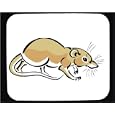 Mouse Pad with gnawer, animals, asia