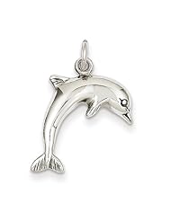 14k White Gold Dolphin Charm