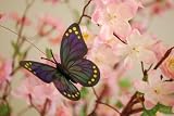 Solar Butterfly, Dual Power Fluttering Butterfly (Multi color), Outdoor or Indoor, Solar Powered or Battery Powered 41jONPvhAoL. SL160 Solar Butterfly, Dual Power Fluttering Butterfly (Multi color), Outdoor or Indoor, Solar Powered or Battery Powered