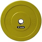BODYRIP 2 x 15kg IWF COLOURED OLYMPIC BUMPER WEIGHT DISC PLATES FITNESS GYM