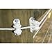 ElectroBraid IROLLW10-EB Roller Post Insulators