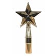 Texas Star