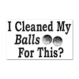 22 x 14 Wall Vinyl Sticker Golf Humor I Cleaned My Balls For This