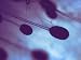 Aspergillus Conidiospores Conidia Asexual Spores Photographic Poster Print, 16x12