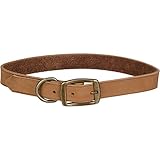 UPC 800443127360 product image for Petco Copper Leather Dog Collar, 24