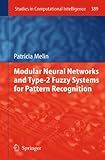 Modular neural networks and type-2 fuzzy systems for pattern recognition