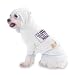It's Hard to be Humble When you Play the PICCOLO Hooded (Hoody) T-Shirt with pocket for your Dog or Cat XS White