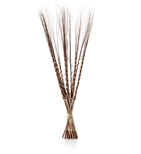 Twisted Ribbon Grass Twigs