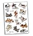 ACCENT DAZZLERS ME PLAYFUL PUPS