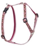 Cherry Blossom - 1/2 in. Lupine Adjustable Roman Style Harness - 9 in. to 14 in.