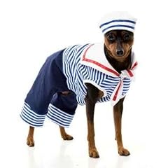 Matrosen Hundekost�m Gr. M