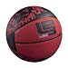 Nike Lebron Playground Basketball (Blk/Red)