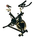 LifeSpan Fitness S2 Indoor Cycling Bike