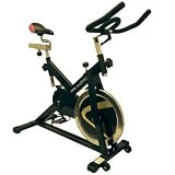 LifeSpan S2 Indoor Cycle Bike