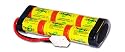 iRobot Looj 7.2V NiCD 2400mah Rechargeable Battery
