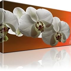 Orchidee Bild auf Leinwand. 80x45cm. Gerahmt. Blume. / Art Deco / Bilder / Wandbilder / Kunstdruck / Leinwandbild / Pictures on Canvas / Fertig gerahmt / Bilder auf Leinwand mit Keilrahmen ! / Dekoration