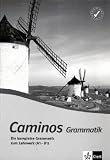 Caminos plus 1/2. Grammatik: BD 1+2