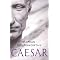 Great Ancient History Books on Amazon UK