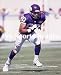 Chris Carter Minnesota Vikings 8x10 Photo