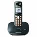 Panasonic Dect 6.0 Titanium Black Cordless Phone  (KX-TG6411T)