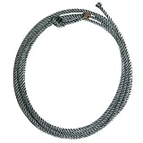Lasso Basic Loop