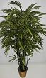 6 1/2' Bamboo Tree on Black Wood
