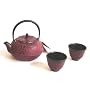 Japanese Cast Iron Tea Pot Set/ Red Bamboo Kafu