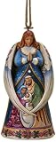 Angel with Wings Around Nativity