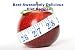 Best Awesomely Delicious Diet Recipes Best Awesomely Delicious Diet Recipes