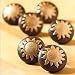 6 SUN country FARM flower knobs DRAWER PULLS cabinet NU