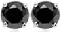 14k White Gold Black Diamond Stud Earrings (2 cttw)