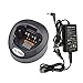 BLVL NTN8831 Desktop Rapid Charger Set for Motorola XTS5000 XTS4250 XTS3500 XTS3000 XTS2500 XTS2250 MTX9000 MTX8000 MTX900 MTS2000 MT2000 HT1000 Radio