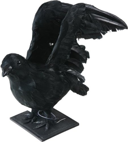 Black Wings Out Crow Halloween Prop