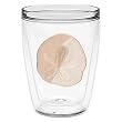 Sand Dollar 16 oz Insulated Beverage Tumbler, Clear