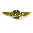777 Wings Pin
