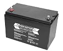 12V 100Ah RPower® AGM-Batterie