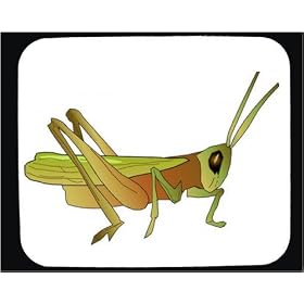 Mouse Pad with insect, caricature, locust, pest, jumping, arthropod, invertebrate, grasshopper, animal, grashoppa