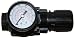 Porter-Cable PF383 3/8-Inch Regulator