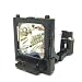 Electronics : Replacement Lamp OEM Model Dt00301, Lamp-029