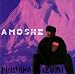 Hirotaka Izumi-Amoshe