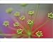 Photographic Prints of USA, Oregon, Portland from Danita Delimont
